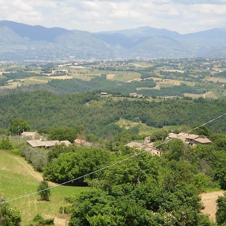 Montanari Agrivillage 纳尔尼 外观 照片