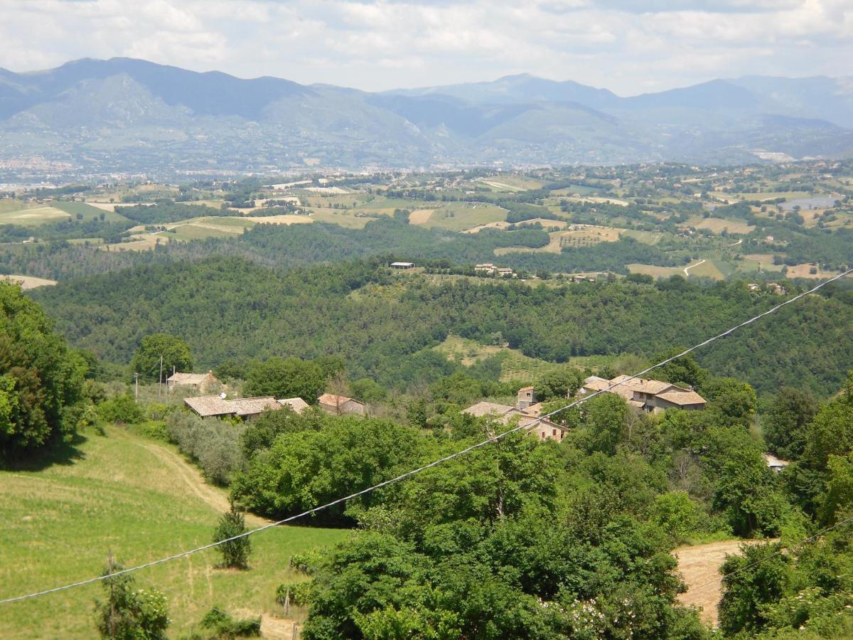 Montanari Agrivillage 纳尔尼 外观 照片