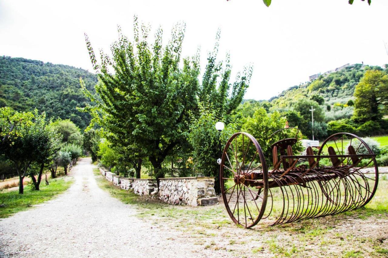 Montanari Agrivillage 纳尔尼 外观 照片