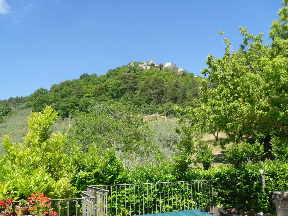 Montanari Agrivillage 纳尔尼 外观 照片