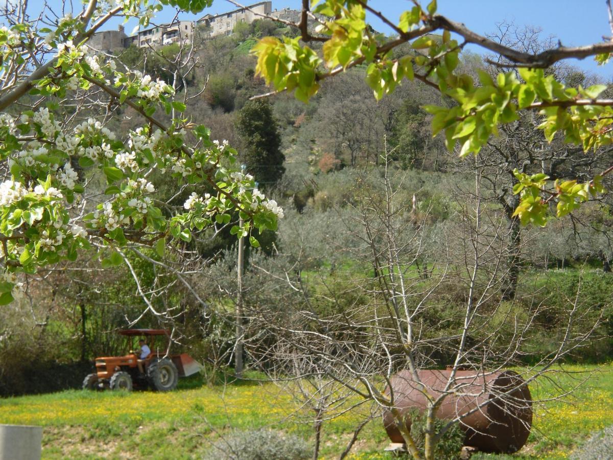 Montanari Agrivillage 纳尔尼 外观 照片