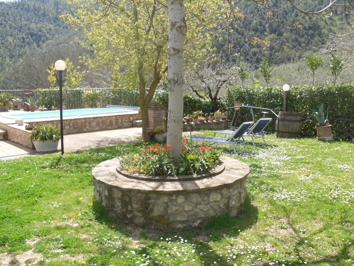 Montanari Agrivillage 纳尔尼 外观 照片